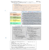 国家像と国家プロジェクトへの試案