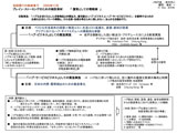 経済ハブ議員会合 資料 日本でのIRポジション 2008年12月